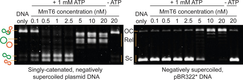 Figure 5.