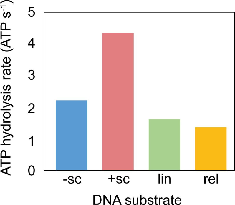 Figure 3—figure supplement 1.