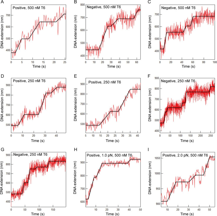 Figure 4—figure supplement 1.