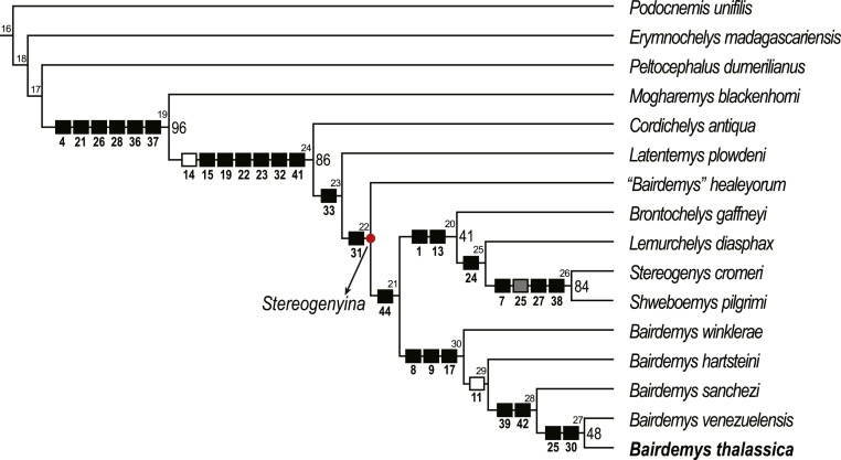 Figure 5