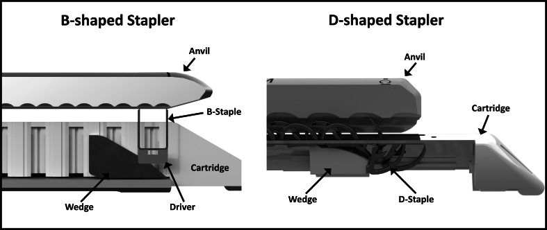 Fig. 1