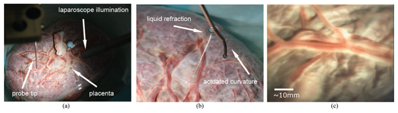 Fig. 6