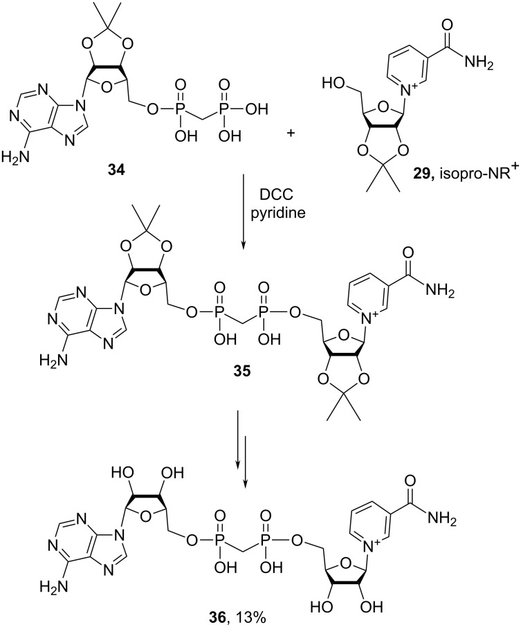 Scheme 19