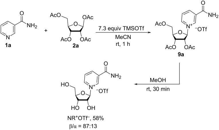 Scheme 4