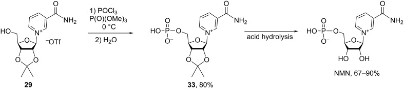 Scheme 18