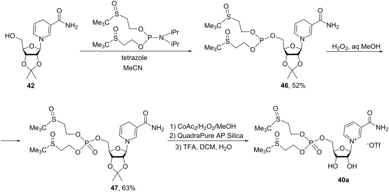 Scheme 22