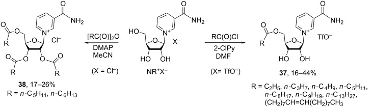 Scheme 20