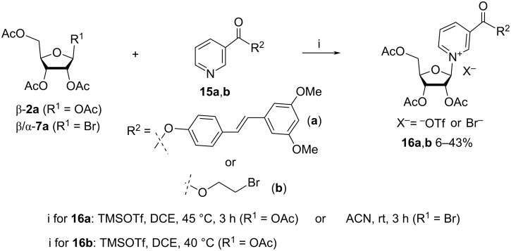 Scheme 9