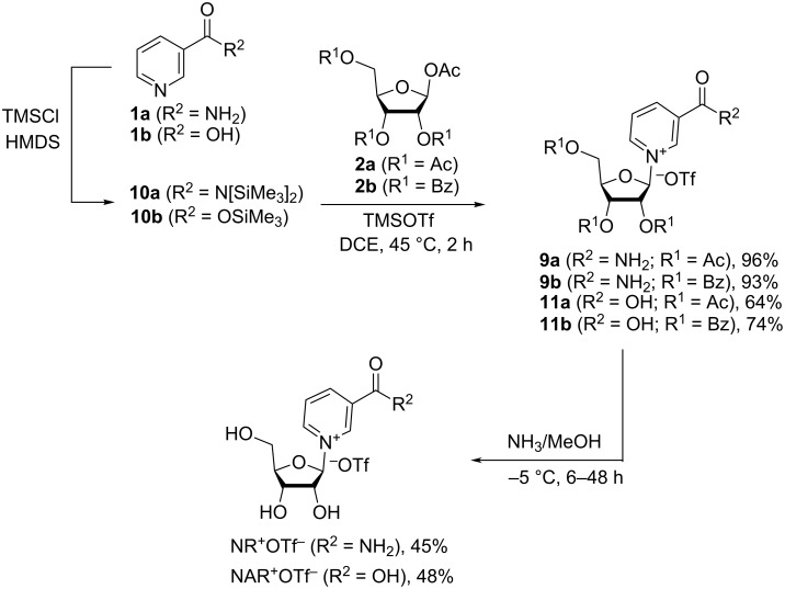 Scheme 5