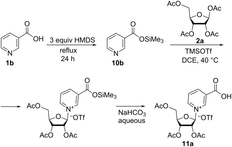 Scheme 6