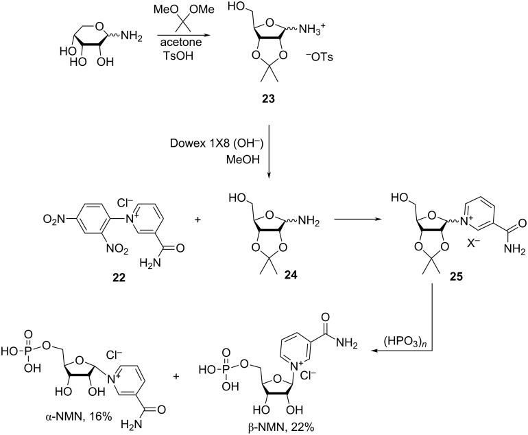 Scheme 12