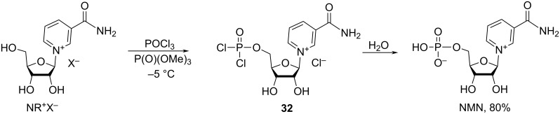 Scheme 17