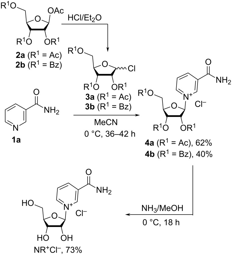 Scheme 1