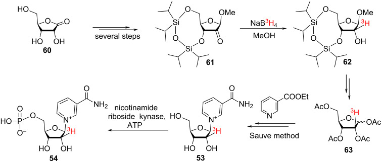 Scheme 25