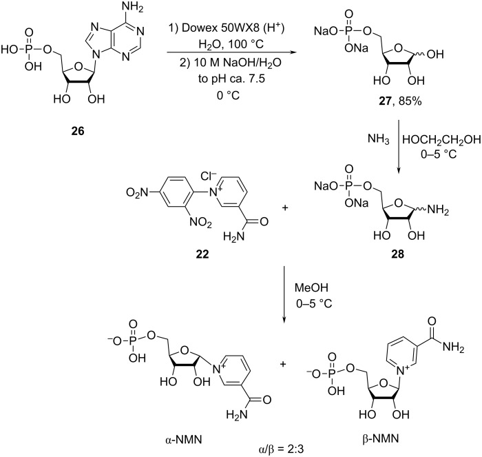 Scheme 13