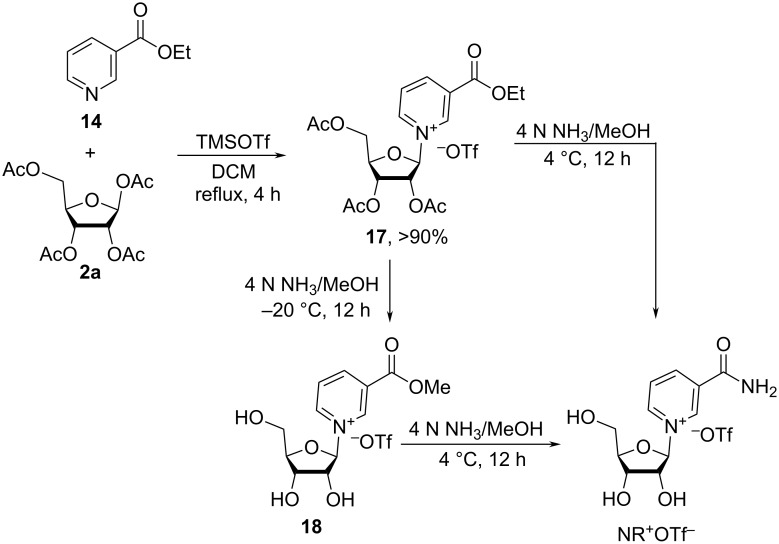 Scheme 10