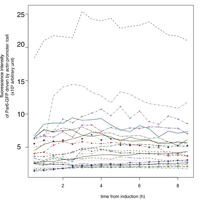 Figure 4—figure supplement 1.