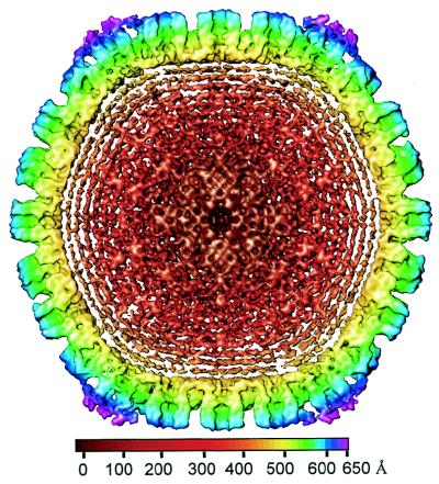 FIG. 6