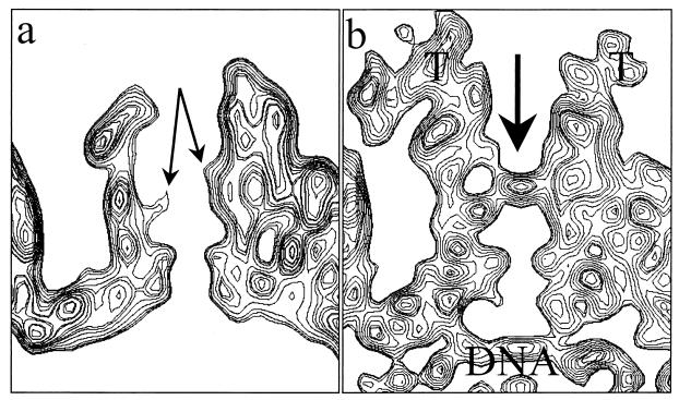 FIG. 5