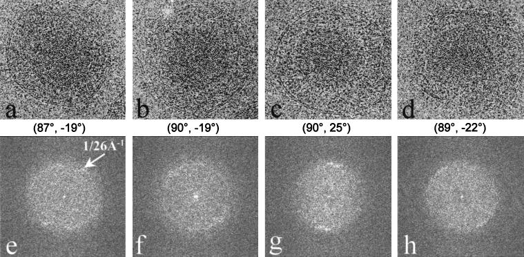 FIG. 7