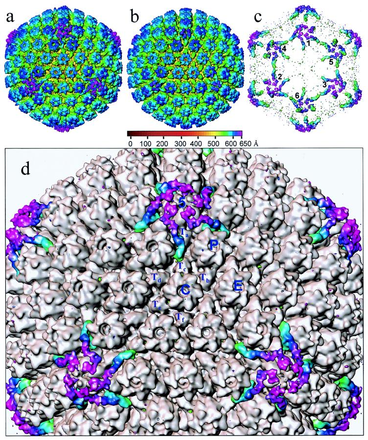 FIG. 3