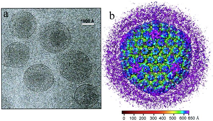 FIG. 1