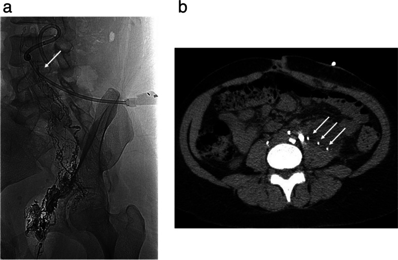 Fig. 8