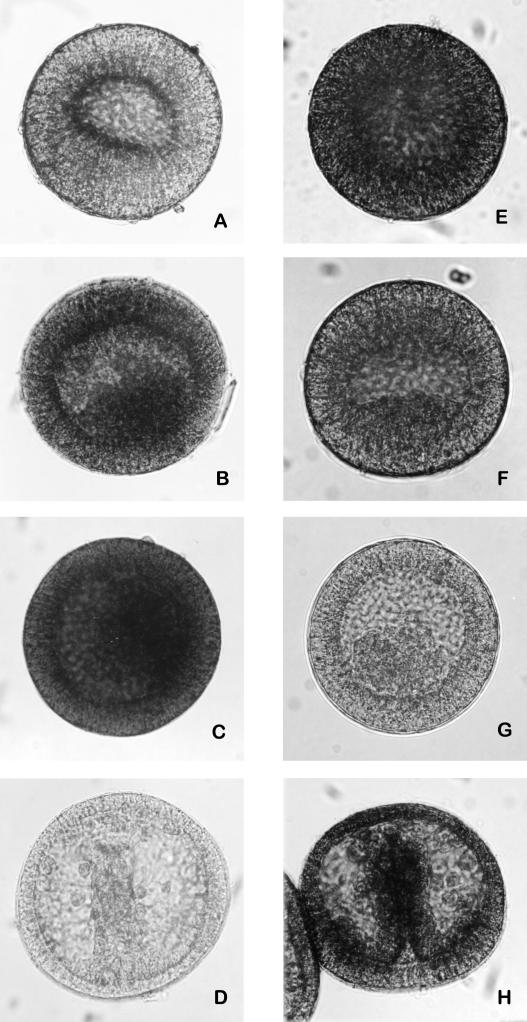 Fig 3.