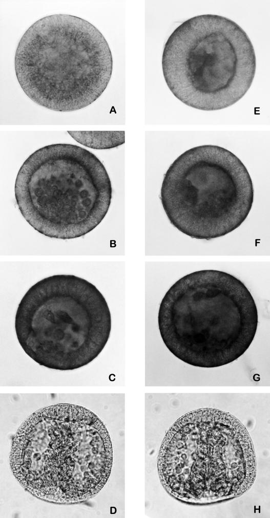 Fig 4.