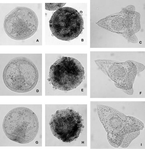 Fig 6.