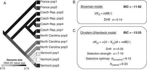 Fig. 4.