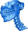 <b>Figure 4.</b>