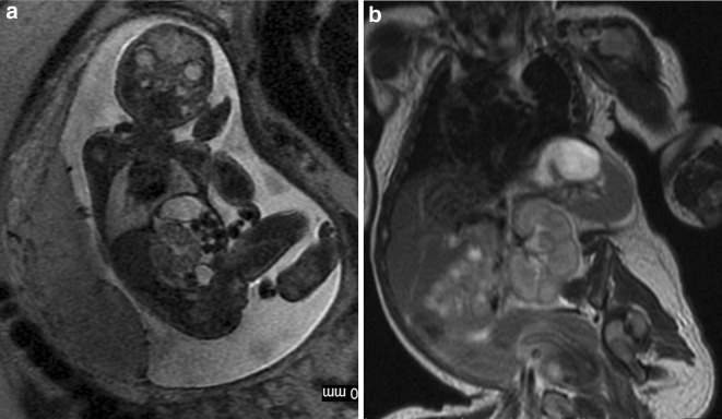 Fig. 5