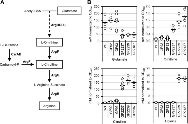 FIG 3 