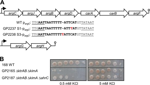 FIG 2 