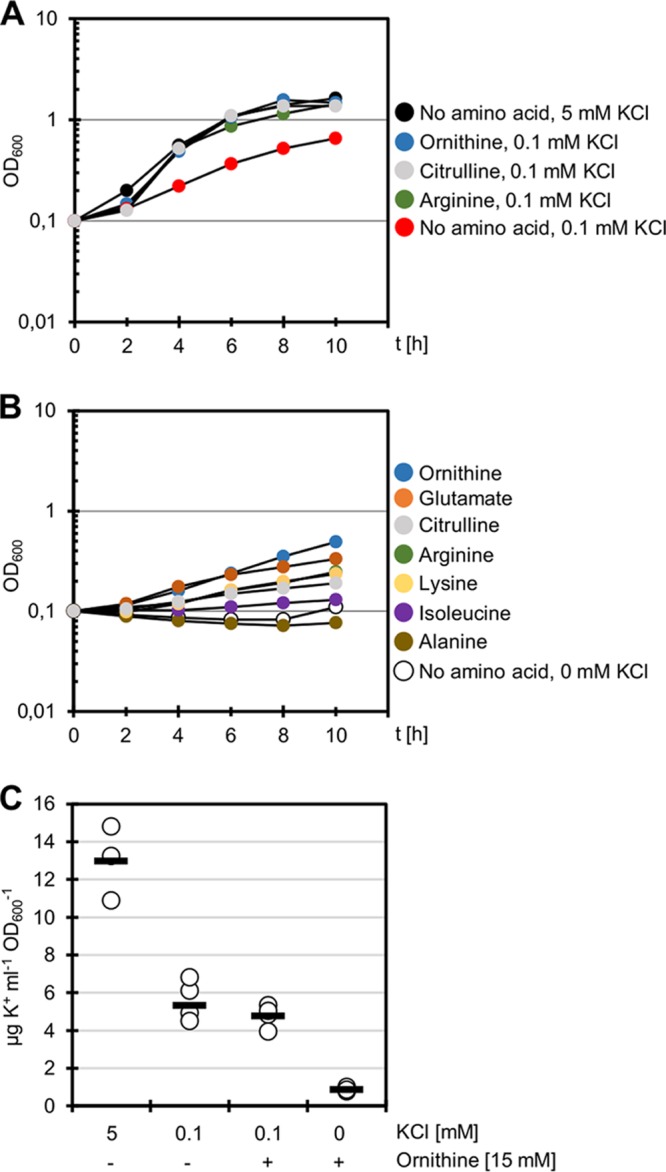 FIG 4 