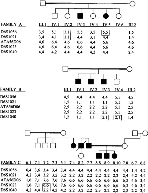 FIG. 2.