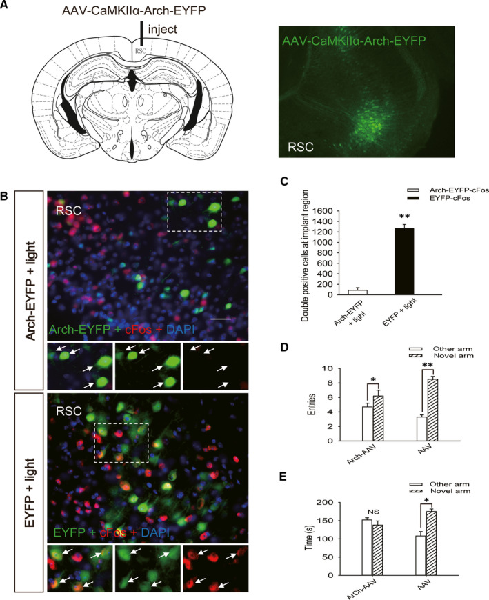 FIGURE 2