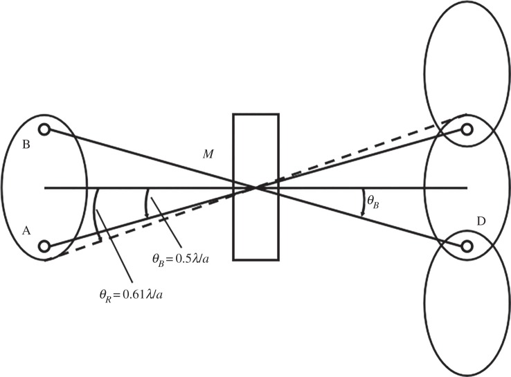 Figure 10.