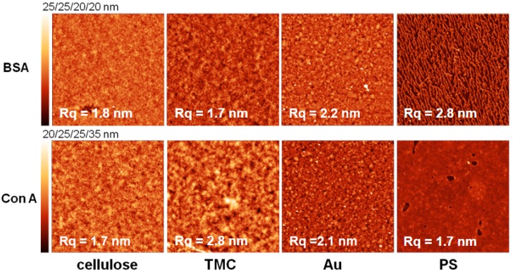 Figure 7