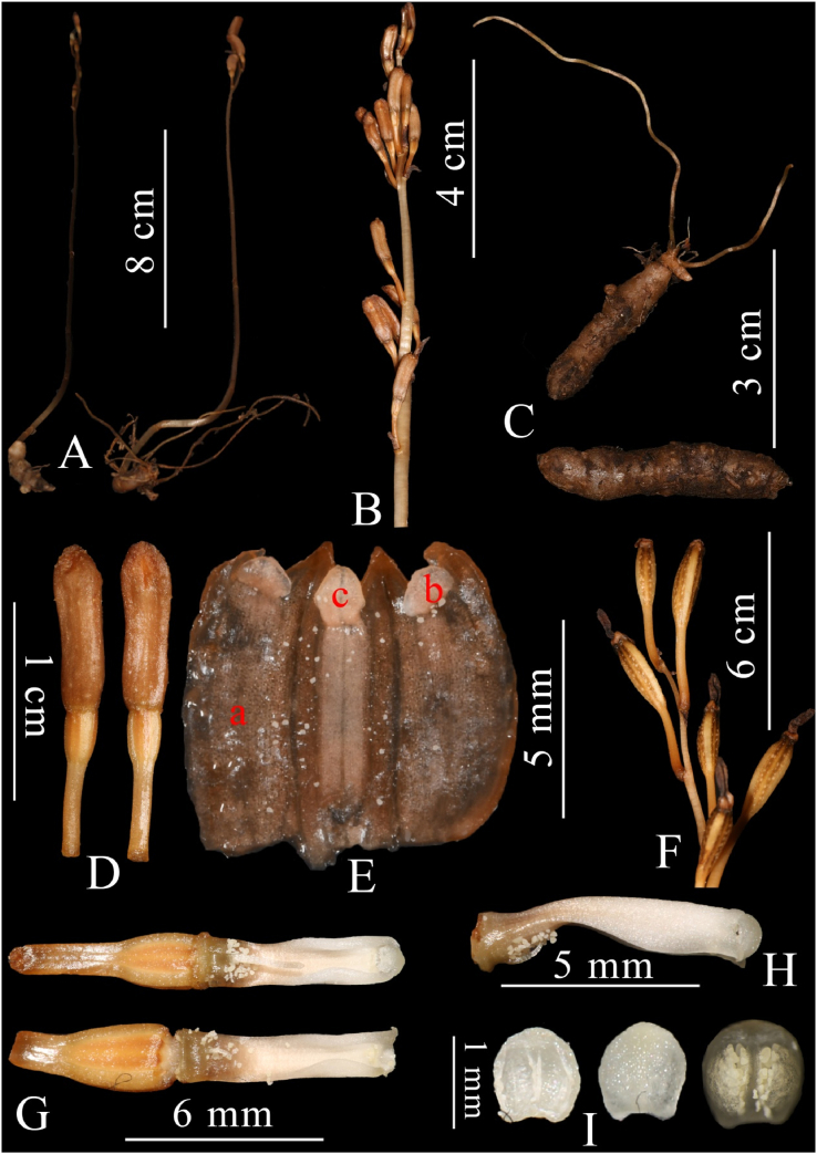 Fig. 4