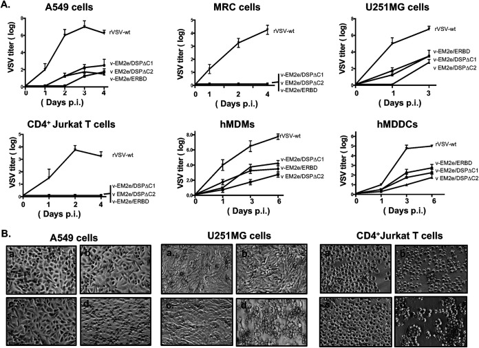 FIG 3