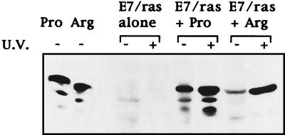 FIG. 6