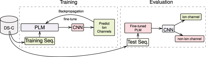 Figure 4: