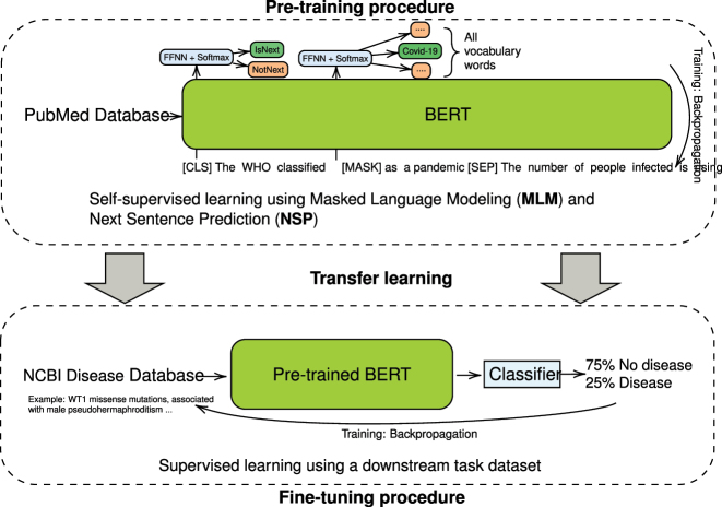 Figure 2: