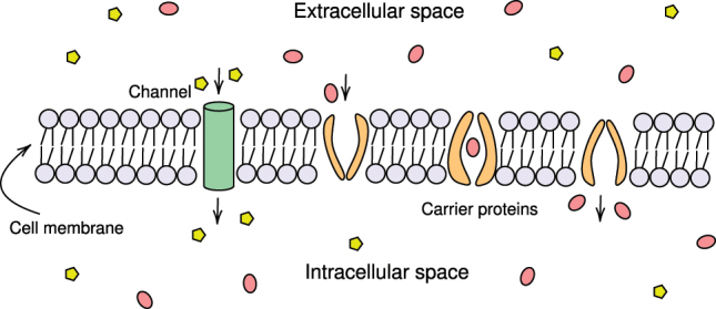 Figure 1: