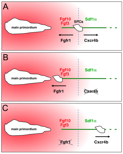 Fig. 8.