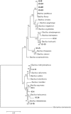 Fig. 6