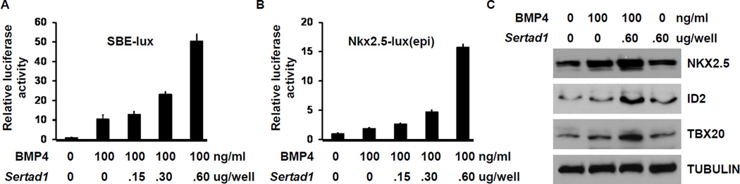 Figure 4