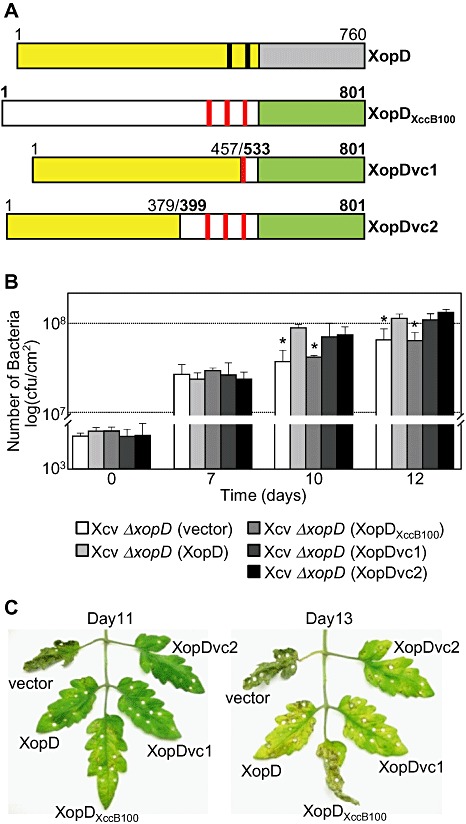 Figure 7